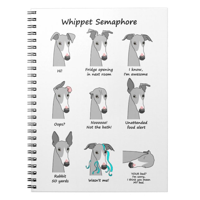 Caderno Espiral Semaphore de Whippet (Frente)