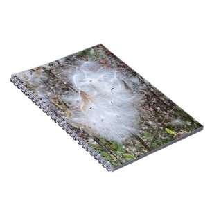 Caderno Espiral Sementes de Milkweed e Espiral de Seda