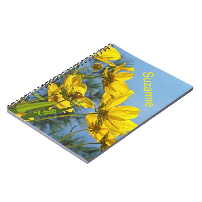 Caderno Espiral Sementes De Pedra Longa, Girassol (Left Side)