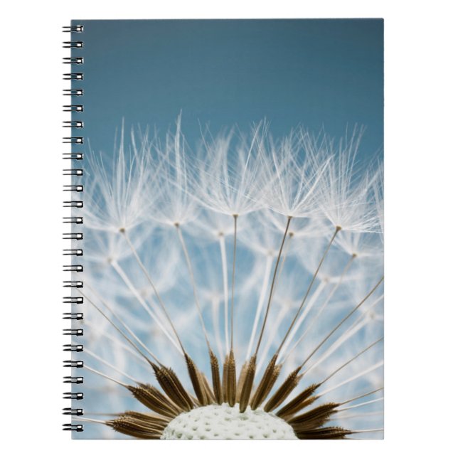 Caderno Espiral Sementes do dente-de-leão (Frente)