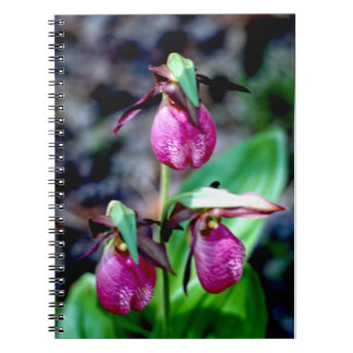Caderno Espiral Senhora deslizador mim, prazer verde cor-de-rosa