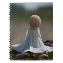 Caderno Espiral Sensueel gehuld poppetje in een bloemen jurkje.