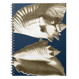 Caderno Espiral Sepia Conch Seashells
