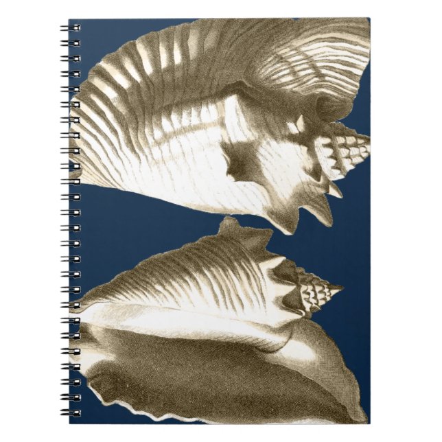 Caderno Espiral Sepia Conch Seashells (Frente)