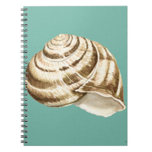 Caderno Espiral Sepia Striped Shell on Teal