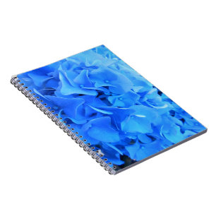 Caderno Espiral Seraphine