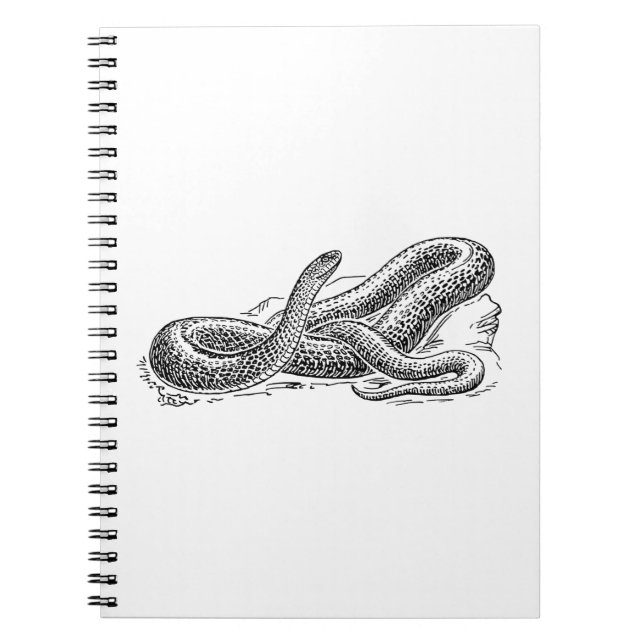 Caderno Espiral Serpente (Frente)