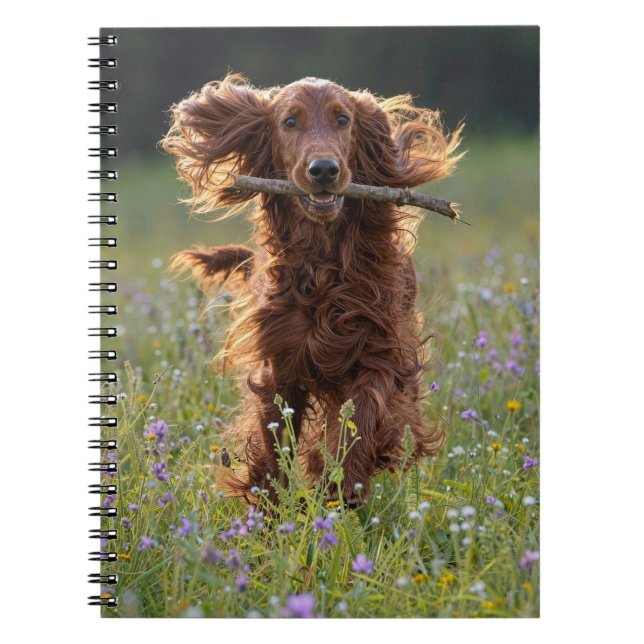 Caderno Espiral Setter Irlandês Correndo com um Graveto (Frente)