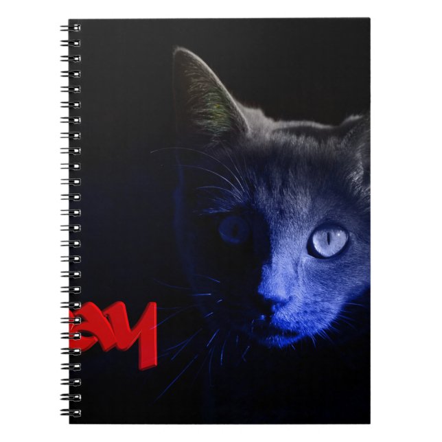 Caderno Espiral sexta-feira, 13 (Frente)