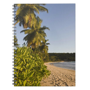 Caderno Espiral Seychelles, Ilha de Mahe, praia de Anse Takamaka,