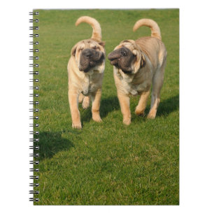 Caderno Espiral Shar Pei Jogada