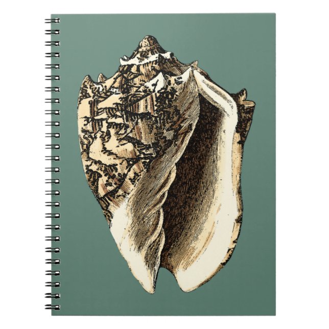 Caderno Espiral Shell Teal Conch (Frente)