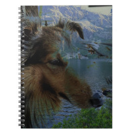 Caderno Espiral Sheltie Diário