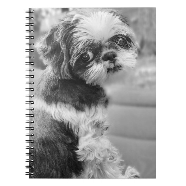 Caderno Espiral Shh Tzu Girl Notebook (Frente)