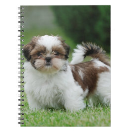 Caderno Espiral Shih tzu