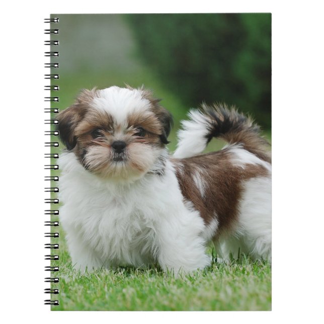 Caderno Espiral Shih tzu (Frente)