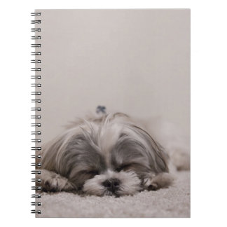Caderno Espiral Shih tzu Sleeping Dog