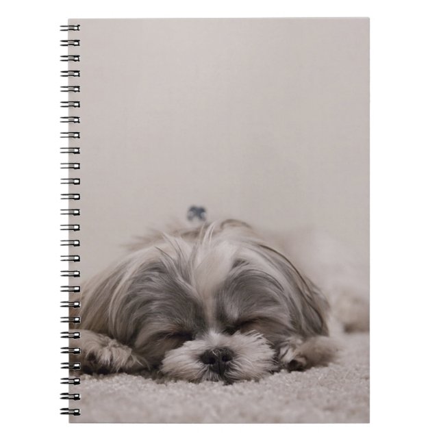 Caderno Espiral Shih tzu Sleeping Dog (Frente)