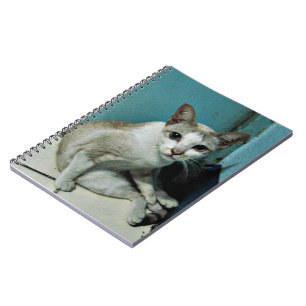 Caderno Espiral Siamese Cat Friend