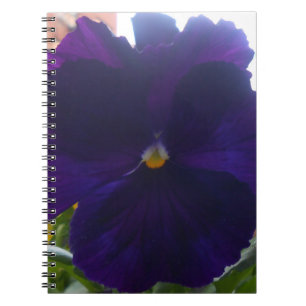 Caderno Espiral Sibylla