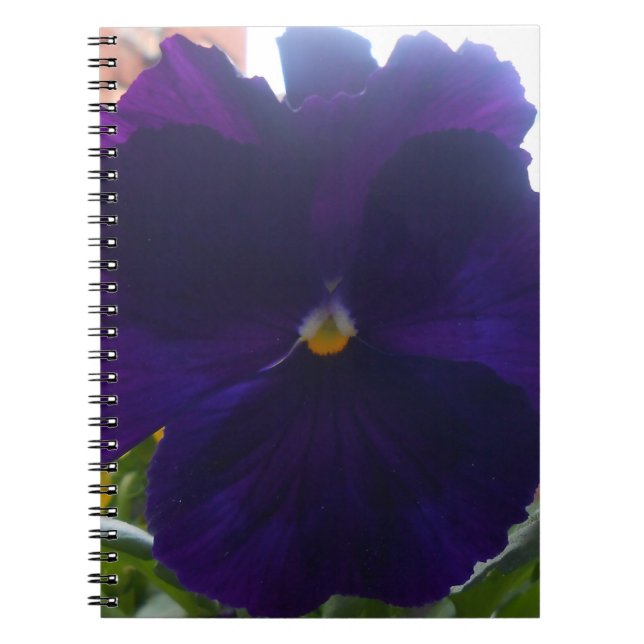 Caderno Espiral Sibylla (Frente)