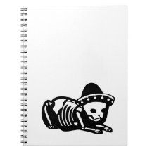 Siesta de esqueleto do gato