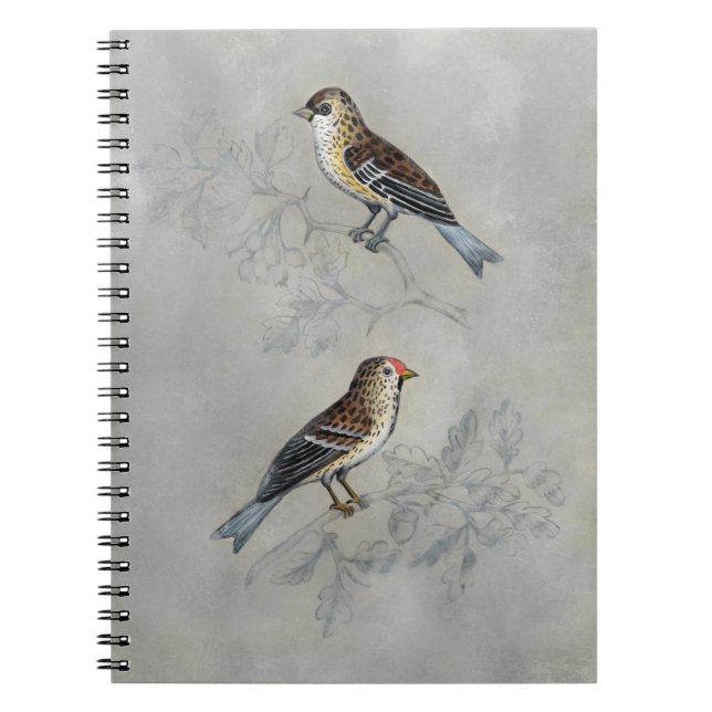 Caderno Espiral Silvered Aviary | Duas Aves (Frente)