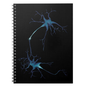 Caderno Espiral Sinapse Entre Neurônios, Neurônio da Neurociência