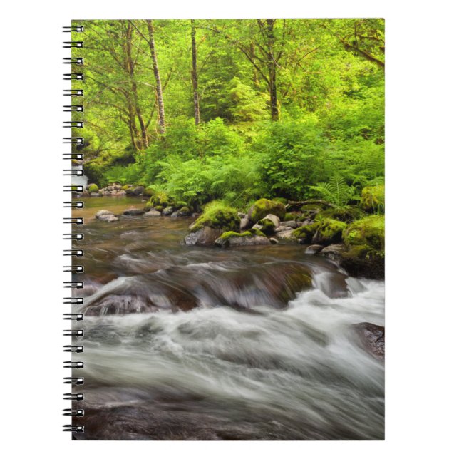 Caderno Espiral Siuslaw National Forest, Sweet Creek, Oregon (Frente)