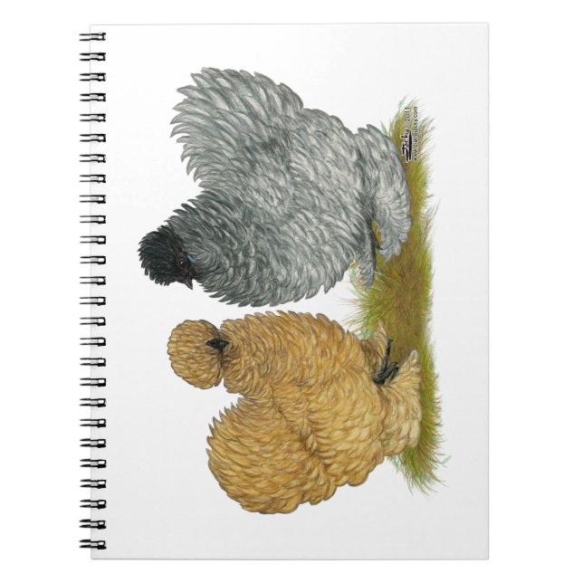 Caderno Espiral Sizzle Chickens (Frente)