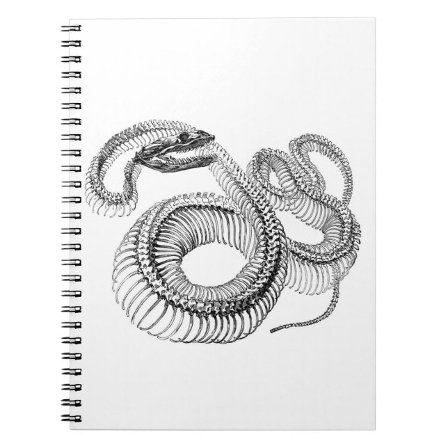 Caderno Espiral Snake Skeleton Notebook (Frente)