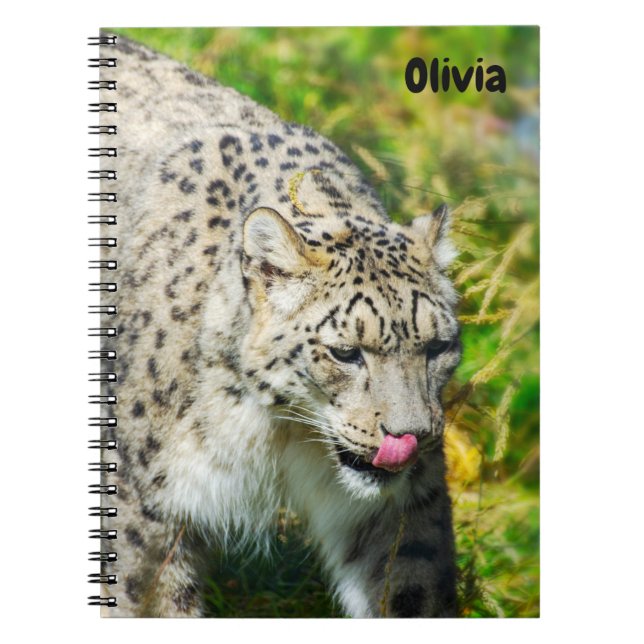 Caderno Espiral Snow Leopard Spiral notebook (Frente)