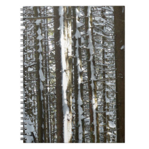 Caderno Espiral Snowy Fir Tree