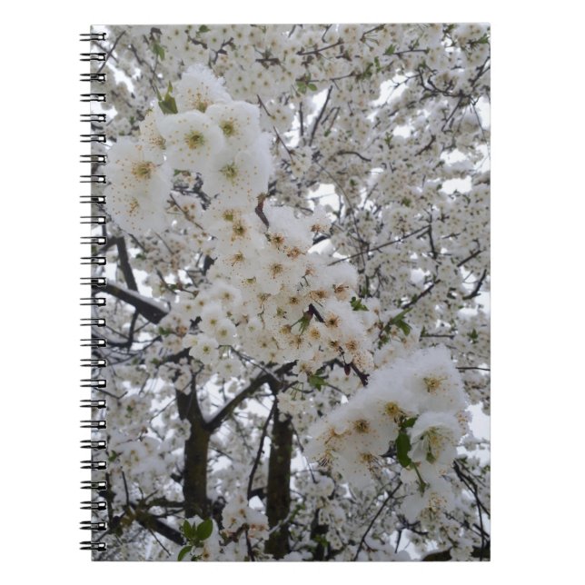 Caderno Espiral Snowy floresce (Frente)