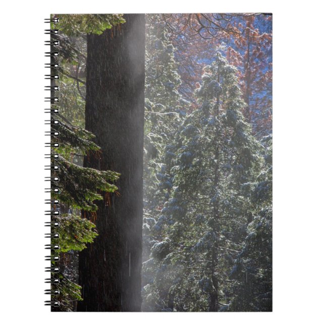 Caderno Espiral Snowy Mist na Floresta (Frente)
