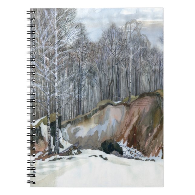 Caderno Espiral Snowy ravine (Frente)