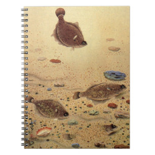 Caderno Espiral Soles ou Peixes Chatos, Vida Marinha Oceânica Vint