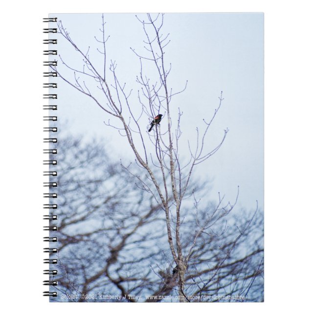 Caderno Espiral Solista (Frente)