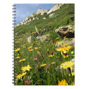 Caderno Espiral Solte a sua imaginação! Flores alpinas