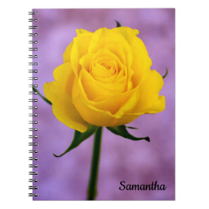 Caderno Espiral Solteiro notebook espiral Rosa Amarelo