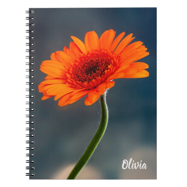 Caderno Espiral Solteiro Orange Gerbera Spiral notebook (Frente)