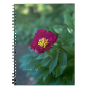 Caderno Espiral Solteiro Peony