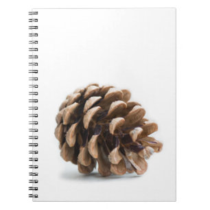 Caderno Espiral Solteiro pinecona