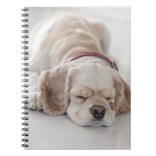 Caderno Espiral Sono do cão de cocker spaniel (Frente)