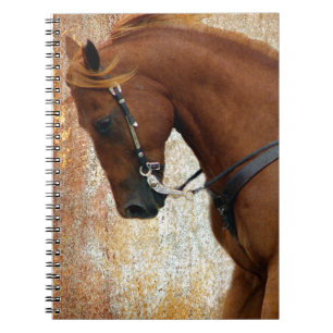 Caderno Espiral Sorrel de Cavalo Ocidental Grunge