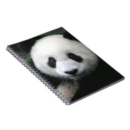 Caderno Espiral Sorrindo Urso de Panda