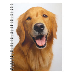 Caderno Espiral Sorriso de Ouro