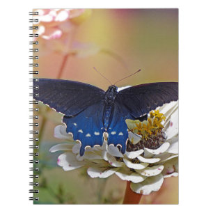 Caderno Espiral Spicebush Swallowtail