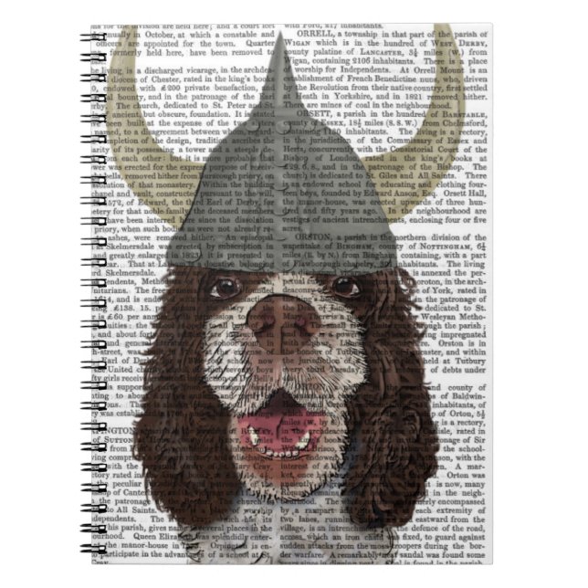 Caderno Espiral Springer Spaniel Viking (Frente)