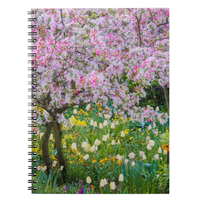 Caderno Espiral Springtime no jardim de Claude Monet (Frente)